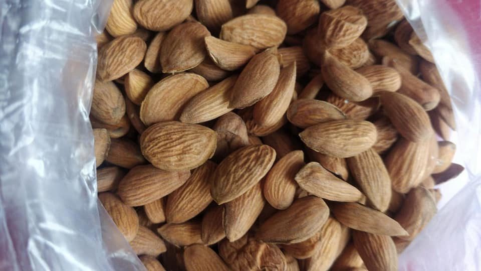 Almond Nuts Edited 1
