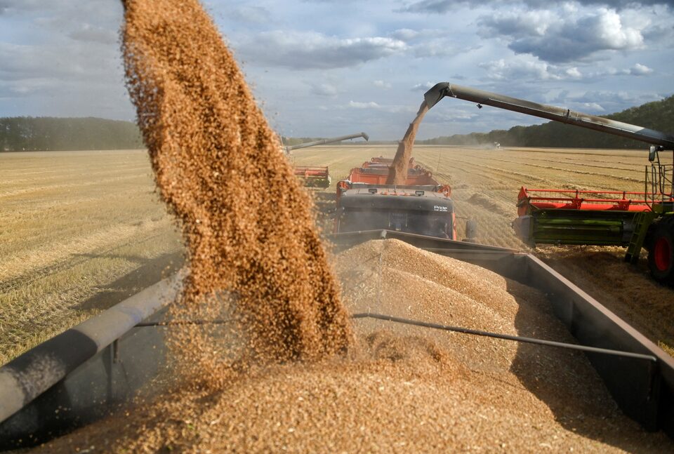 How to Choose a Reliable Agricultural Export Supplier
