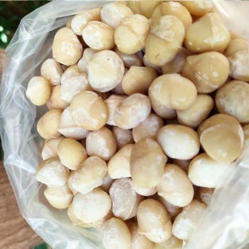 Macadamia Nuts Edited 2