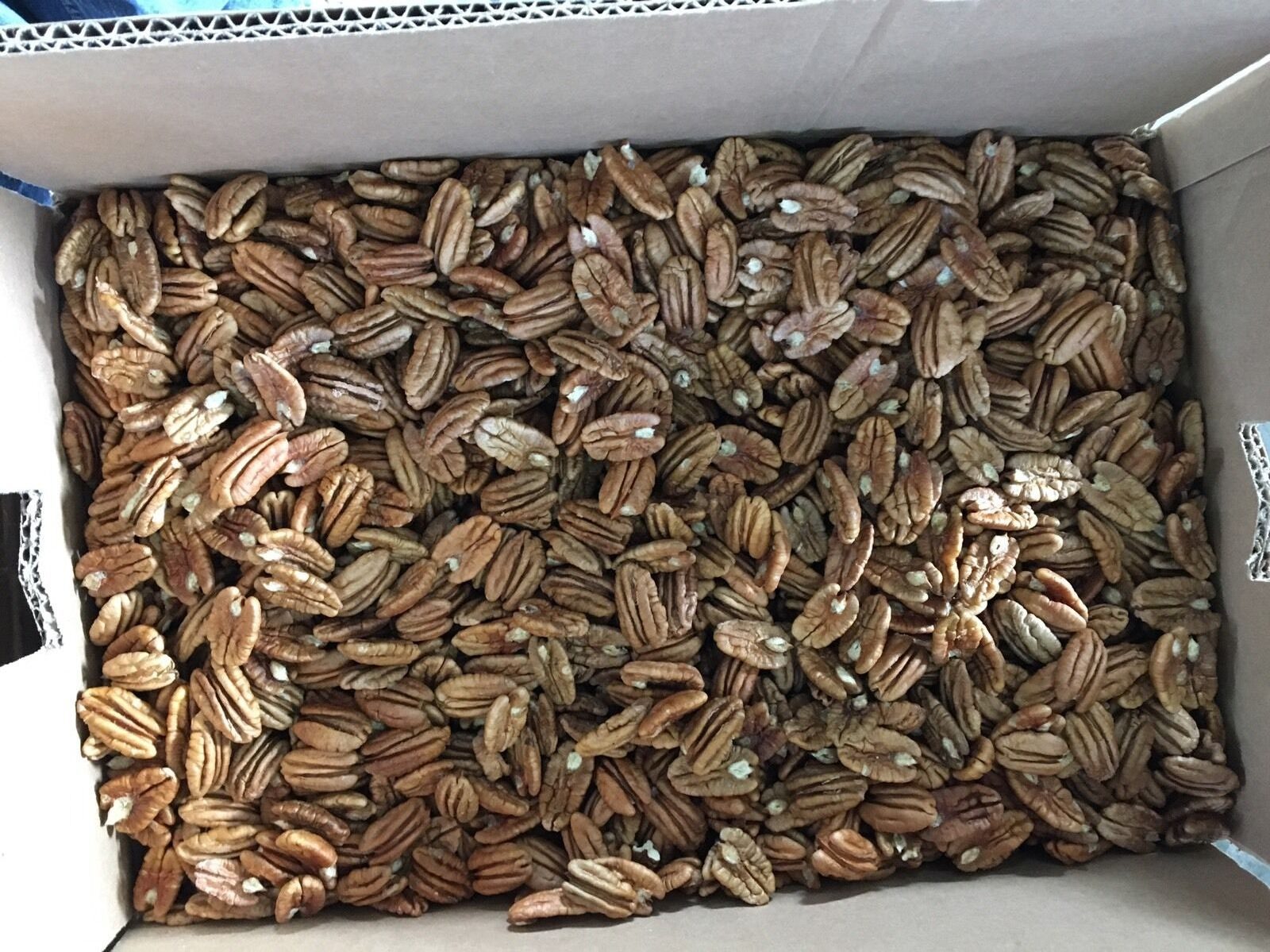 Pecan Nuts Edited 1