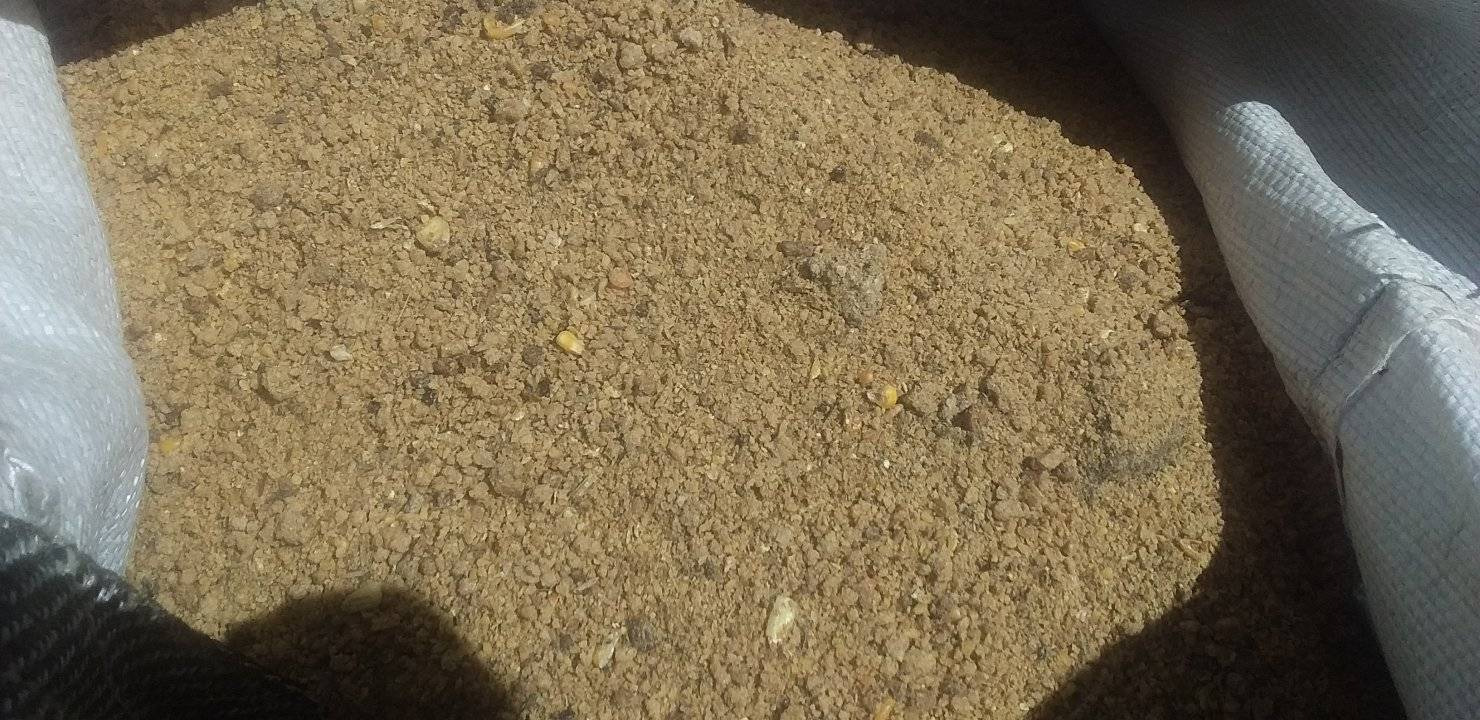 pig feed