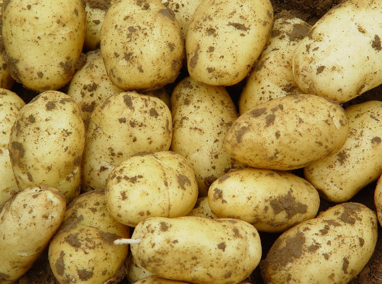 Potatoes