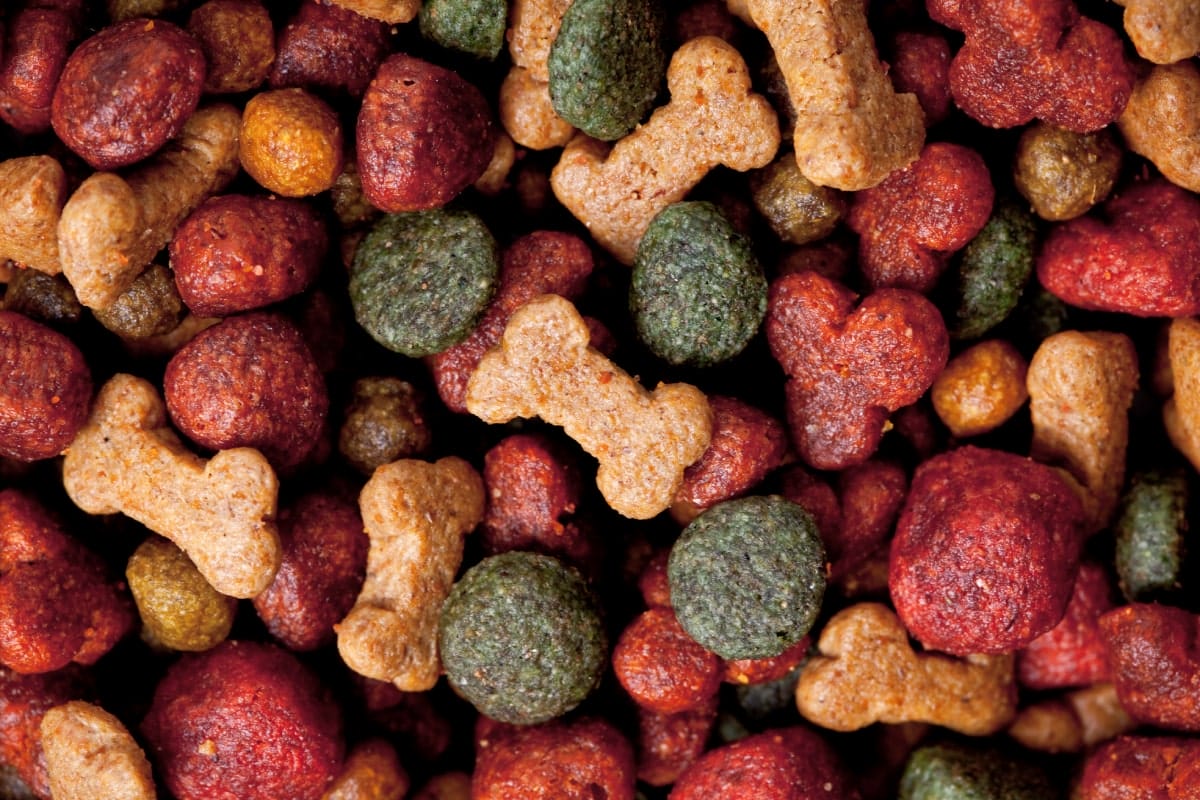 dog food