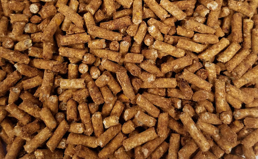 sheep feed