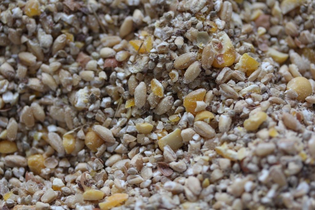 poultry feed used in commercial poultry farming