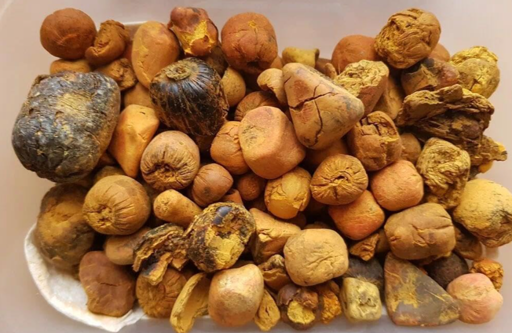 ox gallstones grading and quality
